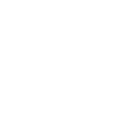 Logo Levc